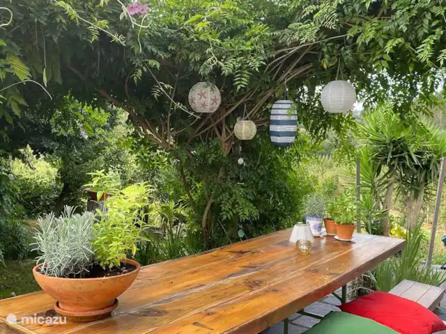 Pátio do Vale | Portugal, Costa de Prata, Alcobaça - chambres d'hôtes terrasse
