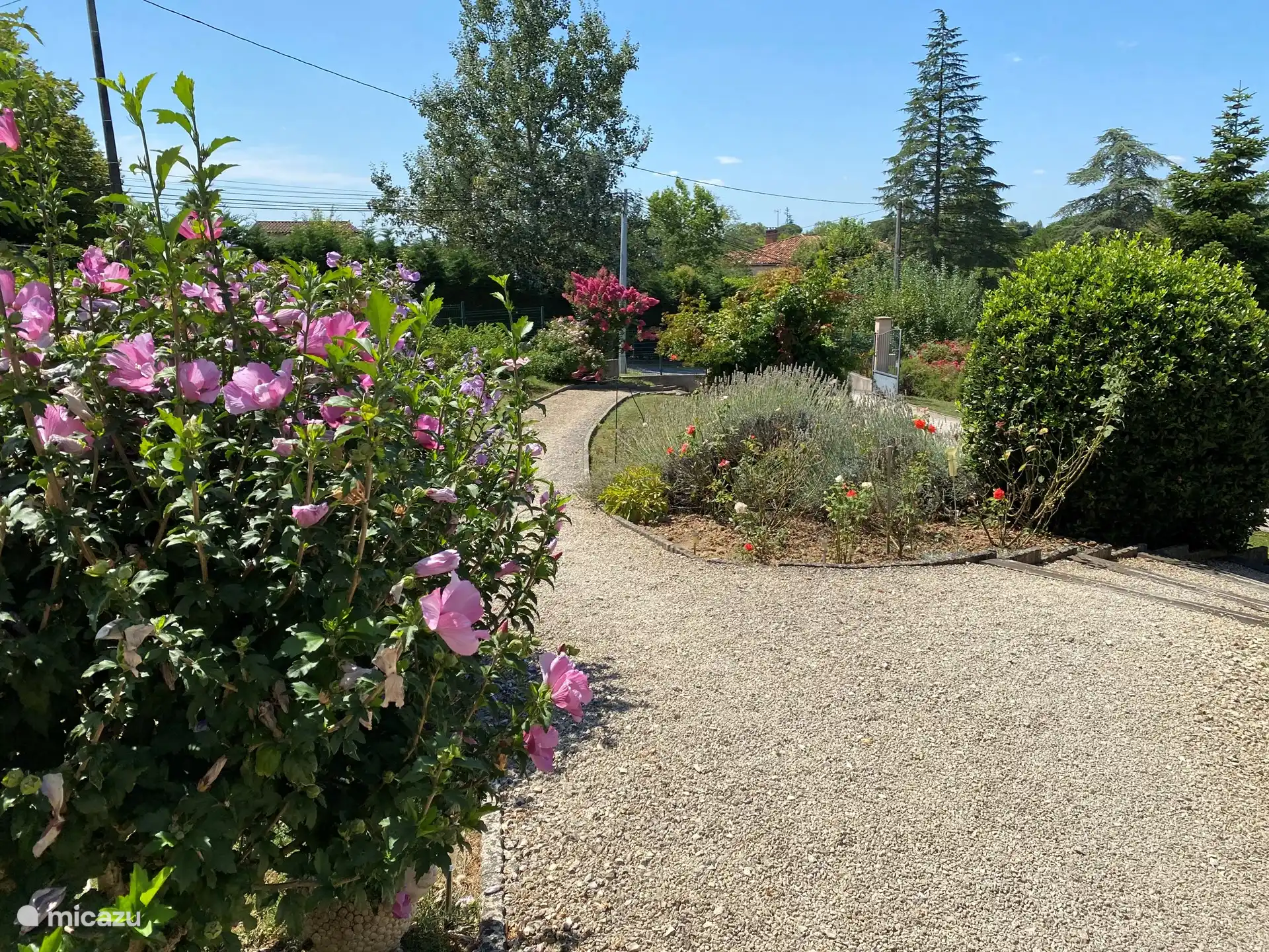 The front garden with the path to the front door