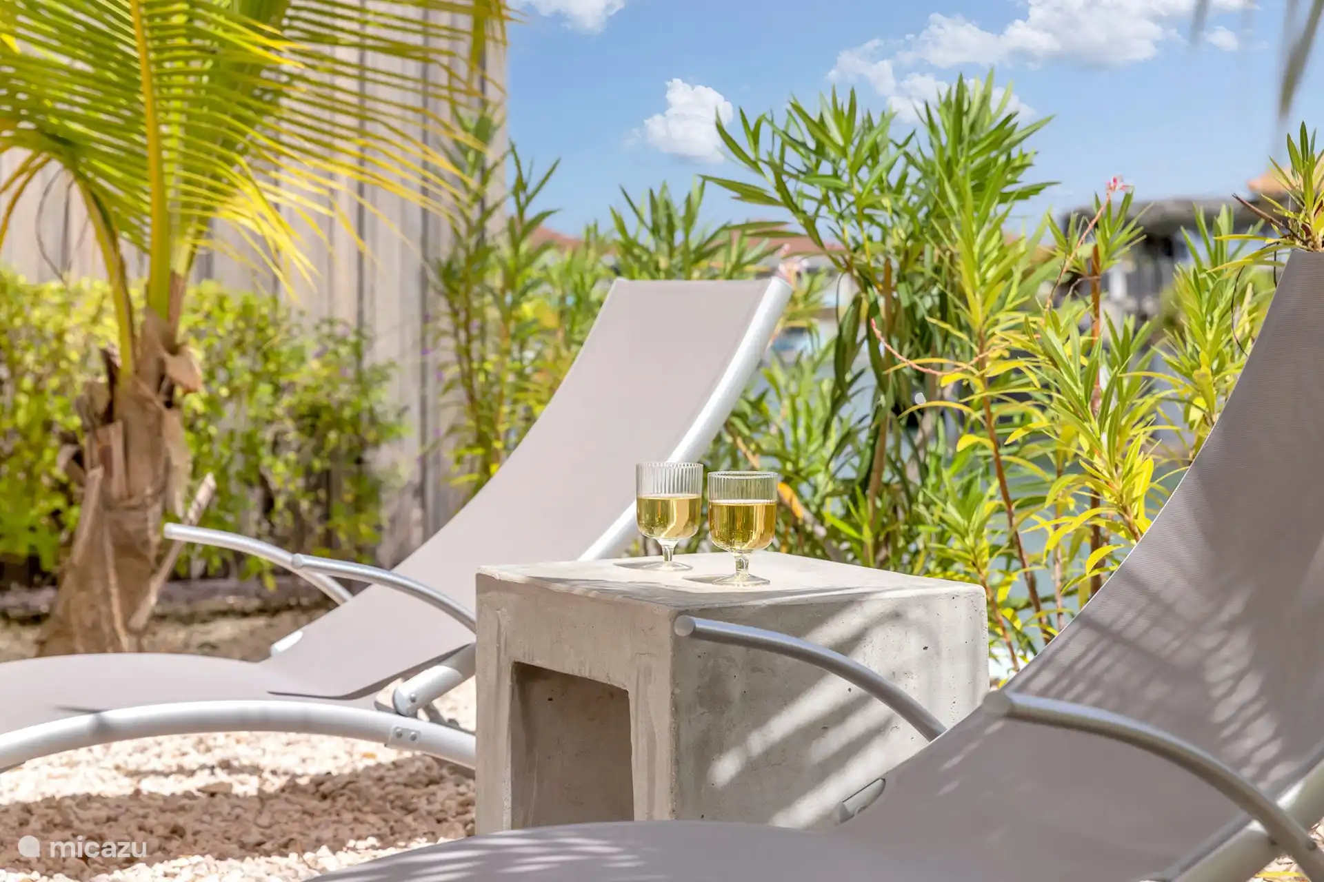 Beba en el jardín aislado durante la puesta de sol