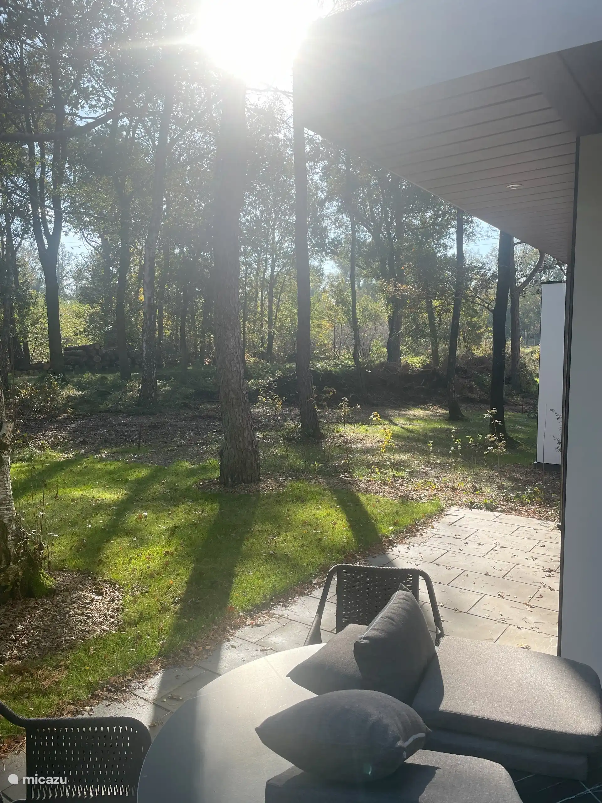 Vrij uitzicht op het bos