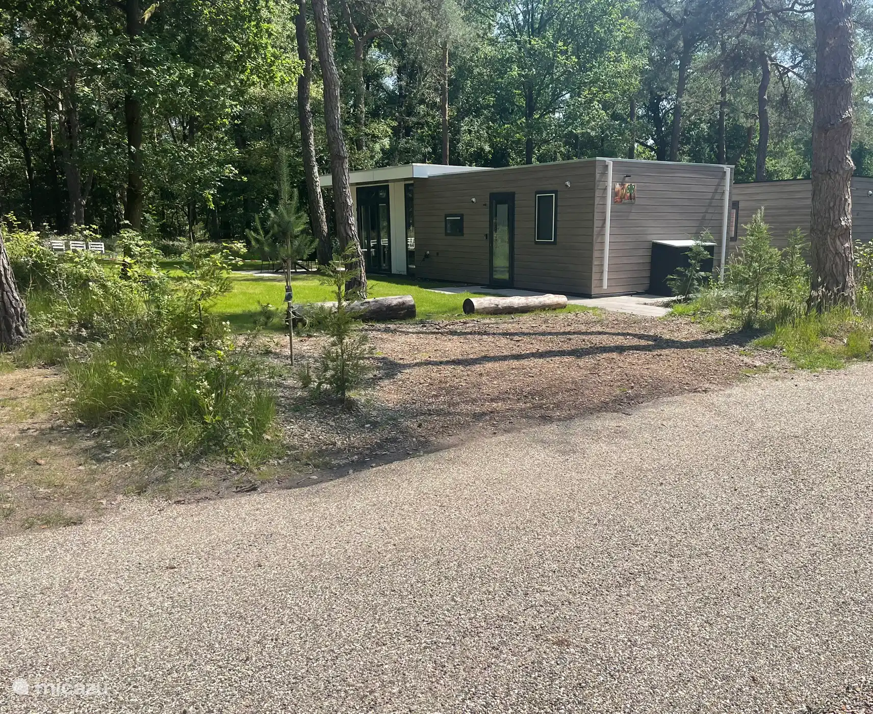 verharde wegen op het park