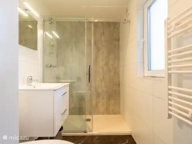 Location de Vacances Pays-Bas, Overijssel, Haarle, maison de vacances - Chalet Boszicht Salle de Bains