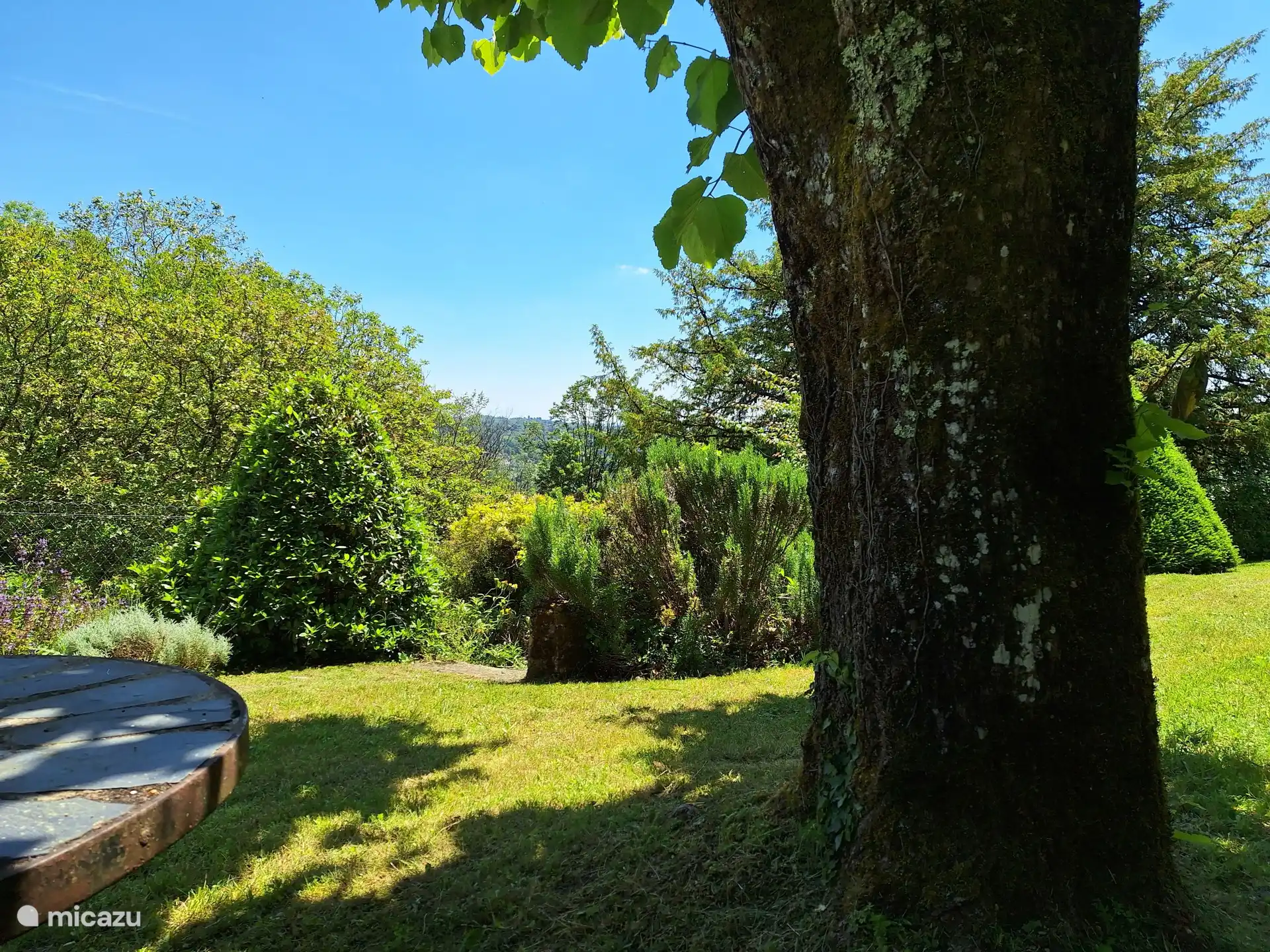 de tuin