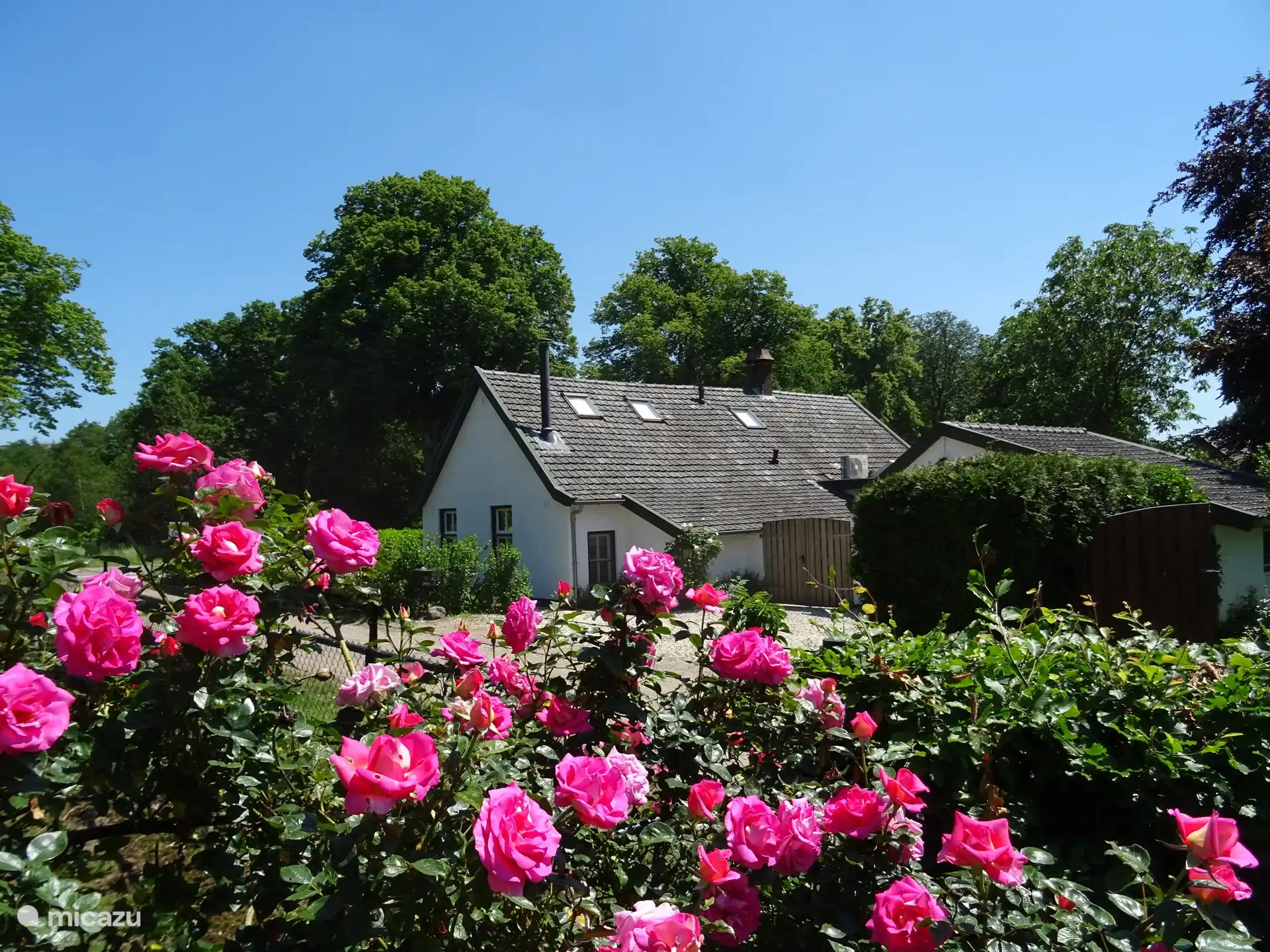 Einst ein Bauernhaus und heute ein besonderes Feriendomizil. Losgelöst und mitten in der Natur. 
An unserem Haus gibt es eine Straße, sobald Sie sie überqueren, können Sie direkt in den Wald gehen (Naturschutzgebiet Maasduinen).