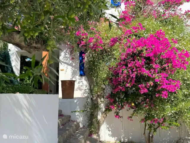 Olivar Villa Serenity en Grecia, Creta, Agia Galini - villa Escaleras a la piscina con buganvillas