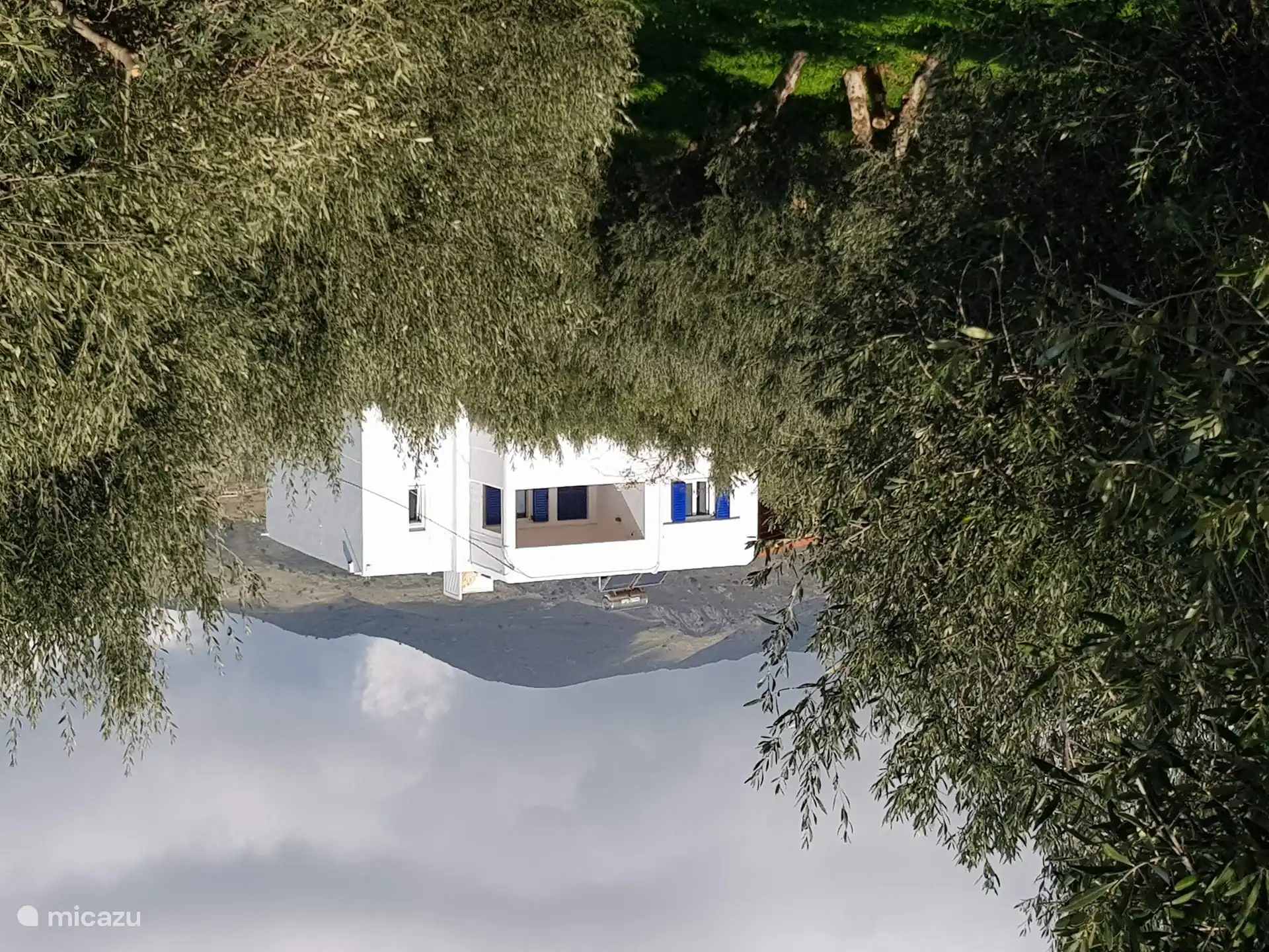 De villa tussen de olijfbomen