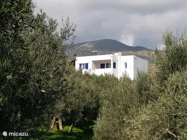 Olivar Villa Serenity en Grecia, Creta, Agia Galini - villa La villa entre los olivos