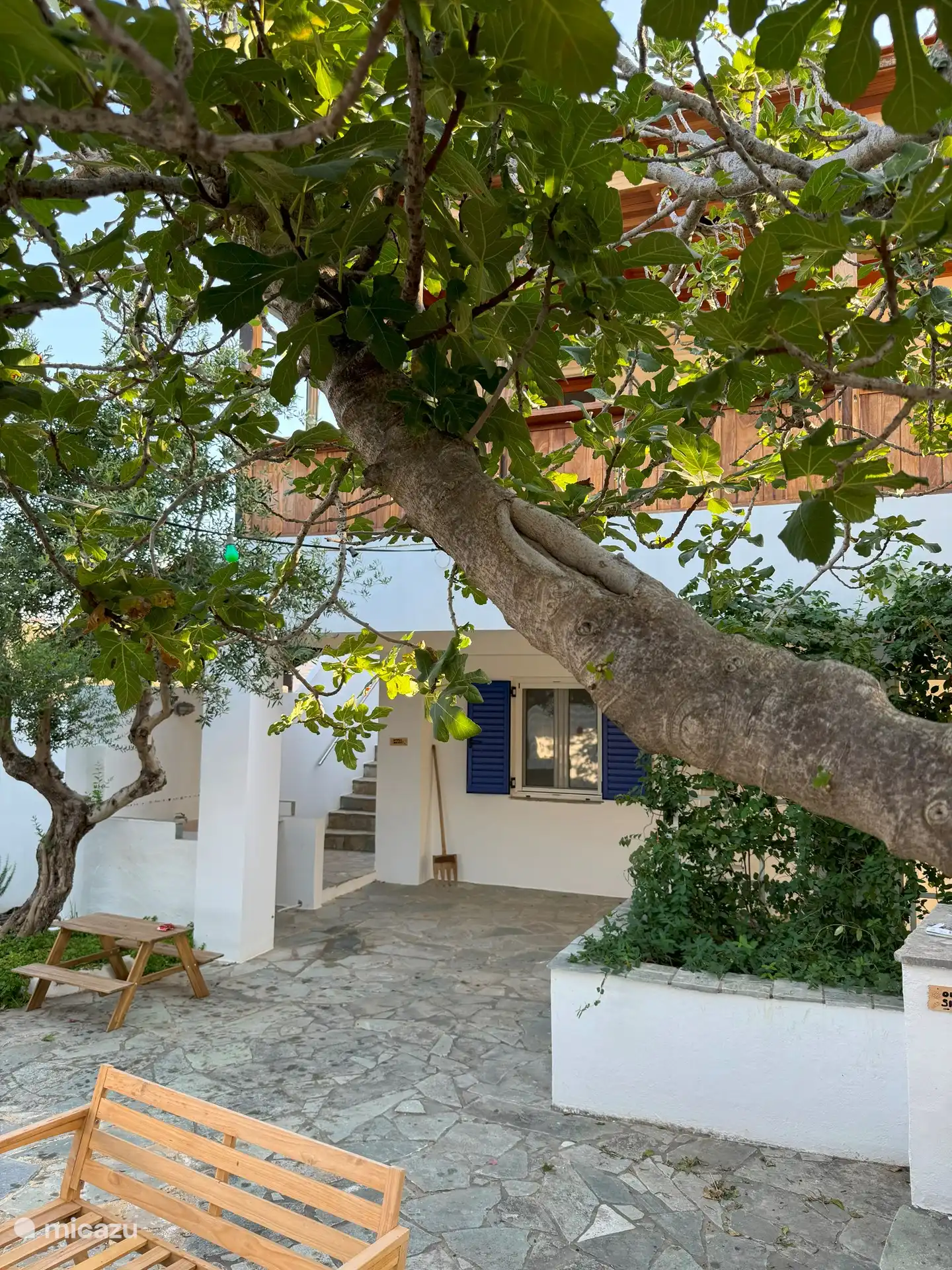 Patio en trap naar 1e etage