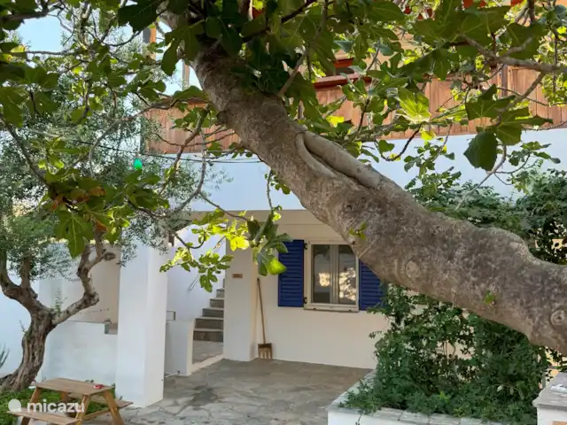 Olivar Villa Serenity en Grecia, Creta, Agia Galini - villa Patio y escaleras a la 1ª planta