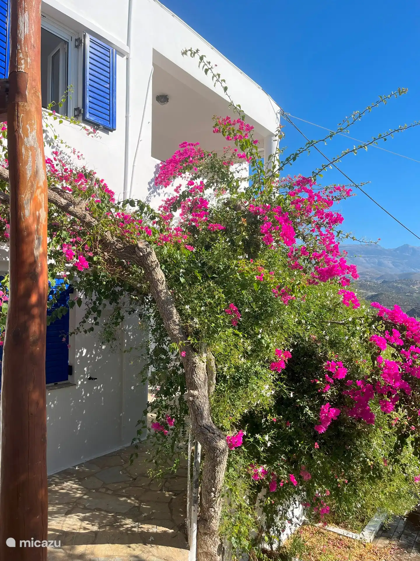 Vooraanzicht villa met bougainville