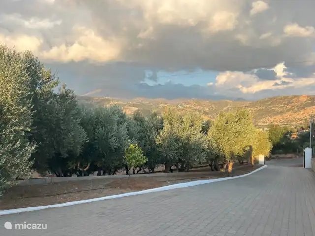 Olivar Villa Serenity en Grecia, Creta, Agia Galini - villa Camino de entrada y montañas en el fondo