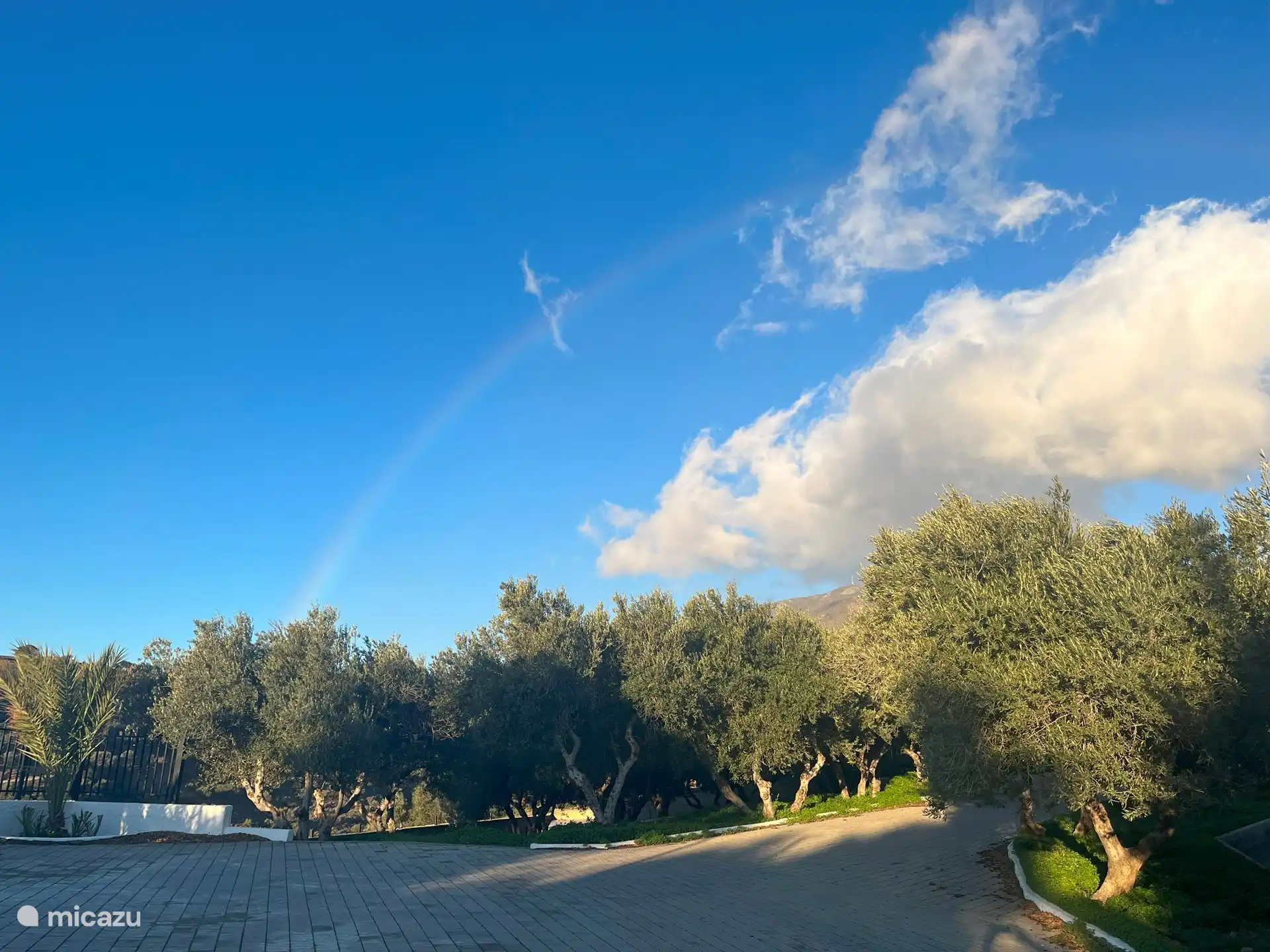 Oprit en olijfboomgaard