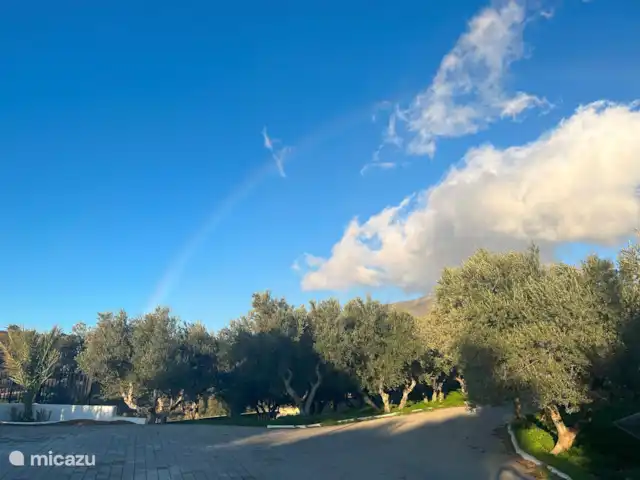 Olivar Villa Serenity en Grecia, Creta, Agia Galini - villa Camino de entrada y olivar