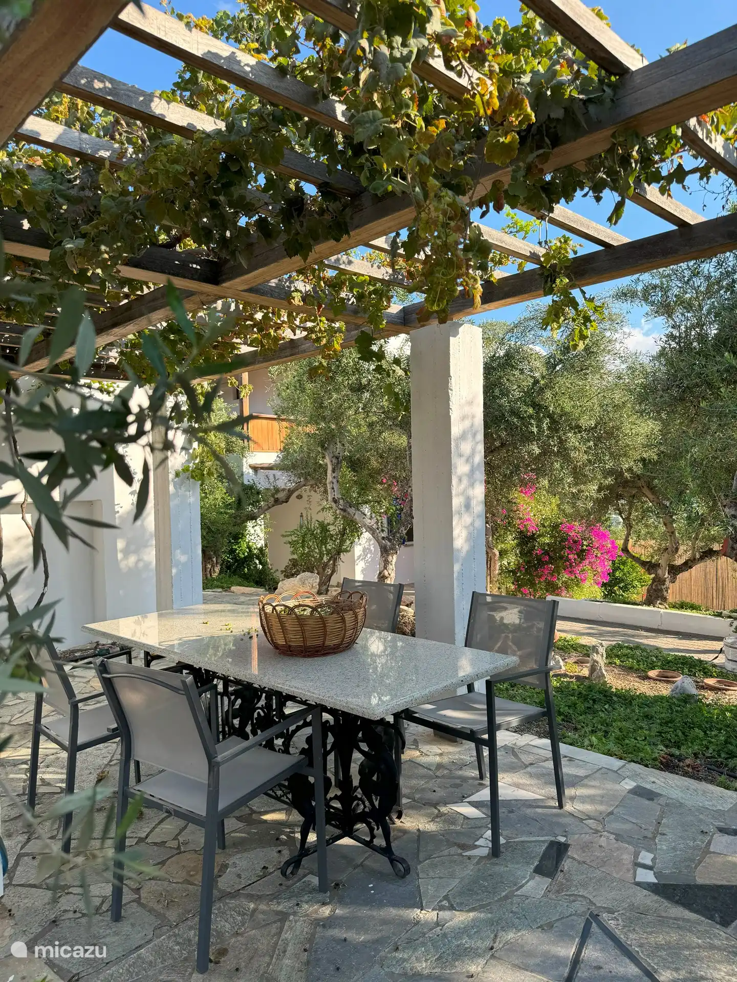 Zitje onder de druiventakken