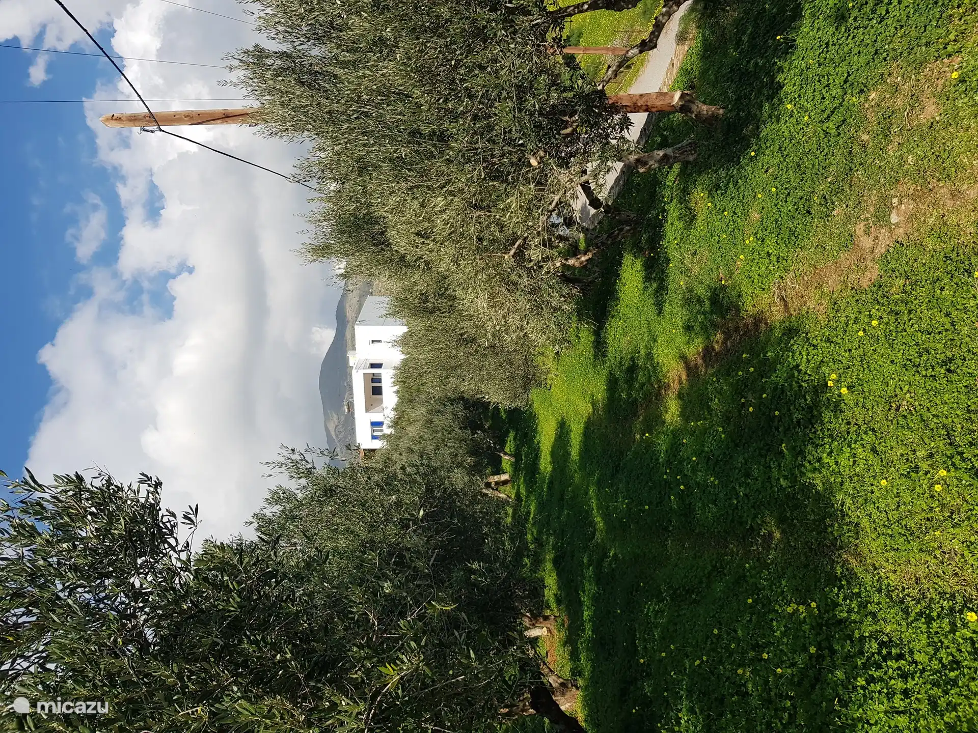 De villa tussen de olijfbomen