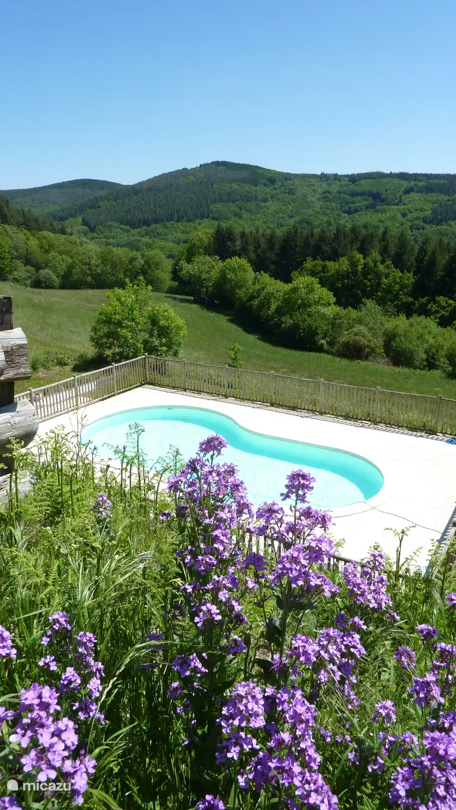 Zwembad op de camping