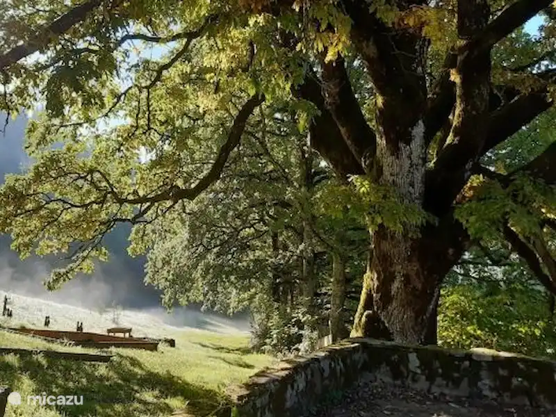 Gîte La Bergerie en Francia, Tarn, Nages - Casa rural / Cabaña Gîte La Bergerie en Francia, Tarn, Nages - Casa rural / Cabaña