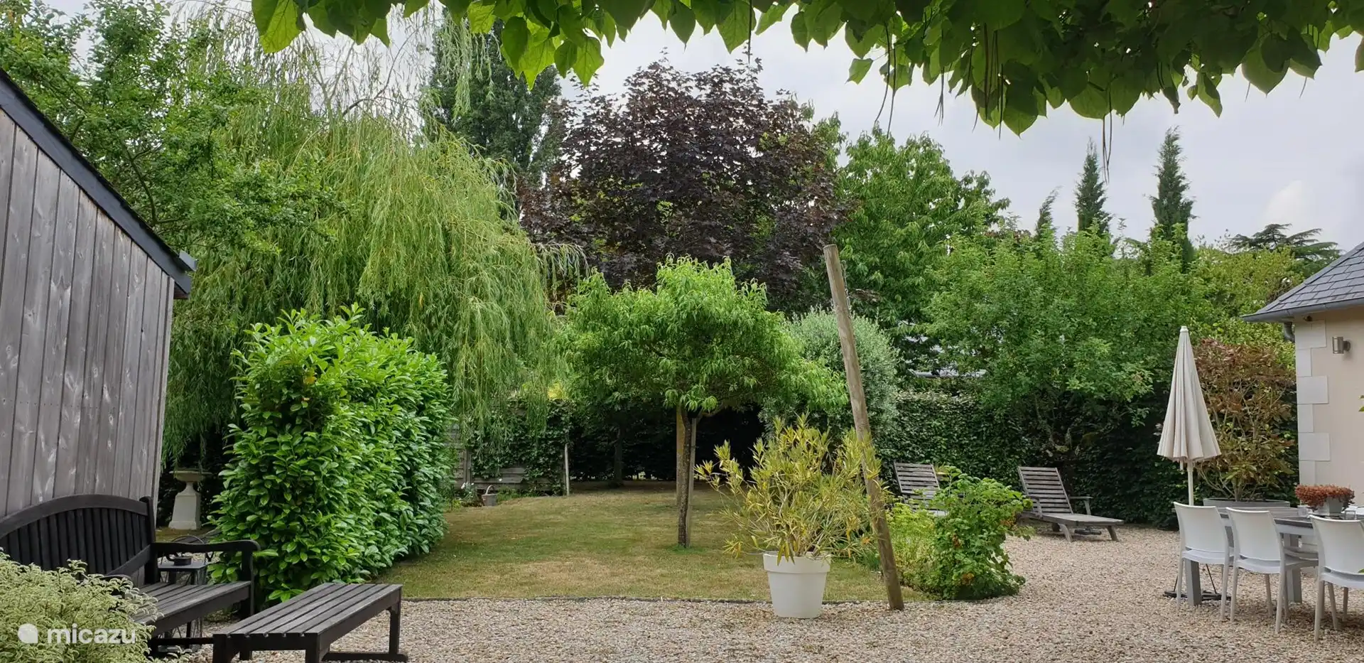 The terrace and the garden