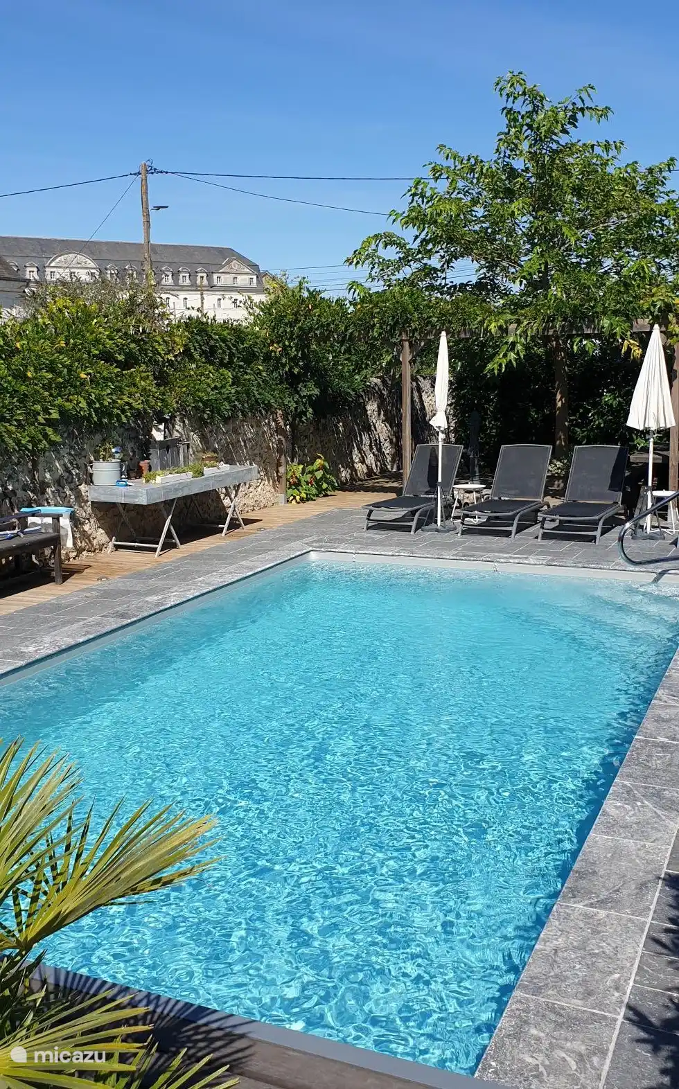 The Orchard of the Châteaux in France, Loir-et-Cher, Pontlevoy -  Gîte / Cottage