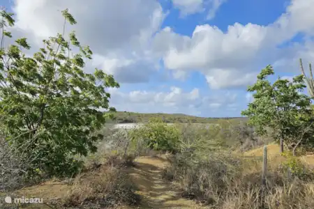 Les marais salants de Curaçao
