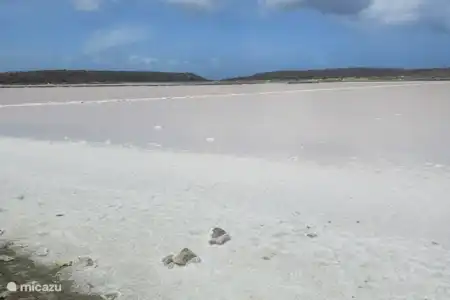 Les marais salants de Curaçao