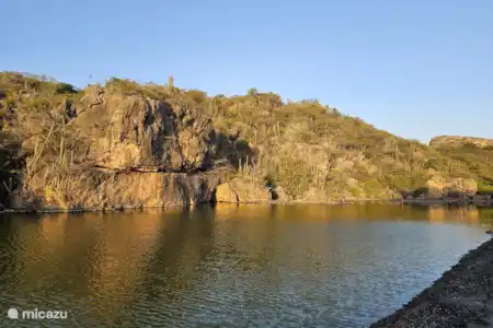 Les marais salants de Curaçao