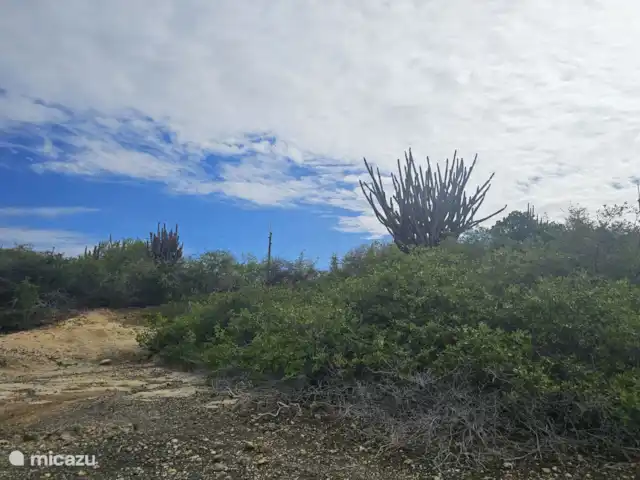 Curaçaovilla de rêve | Curaçao, Banda Ariba (est), Jan Thiel - villa Salines Salantes de Curaçao