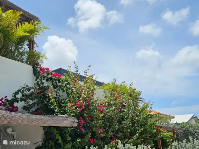 Curaçaovilla de rêve | Curaçao, Banda Ariba (est), Jan Thiel - villa Villa Bougainvilliers