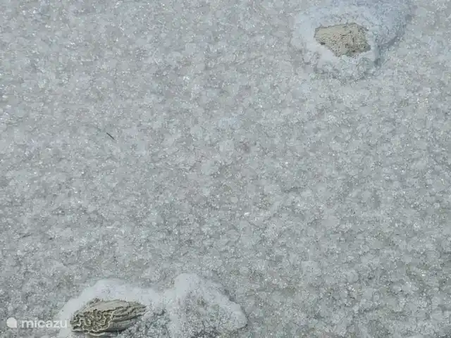 Curaçaovilla de rêve | Curaçao, Banda Ariba (est), Jan Thiel - villa Salines Salantes de Curaçao