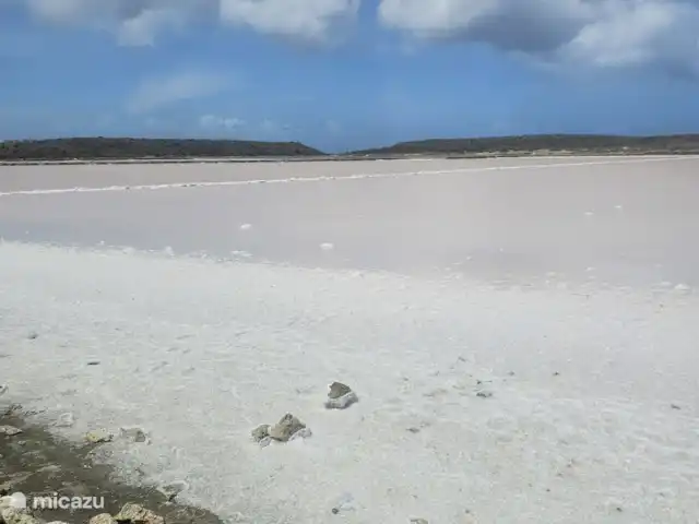 Curaçaovilla de rêve | Curaçao, Banda Ariba (est), Jan Thiel - villa Salines Salantes Curaca