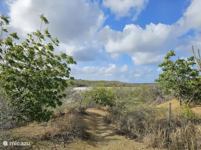 Curaçaovilla de rêve | Curaçao, Banda Ariba (est), Jan Thiel - villa Salines Salantes de Curaçao