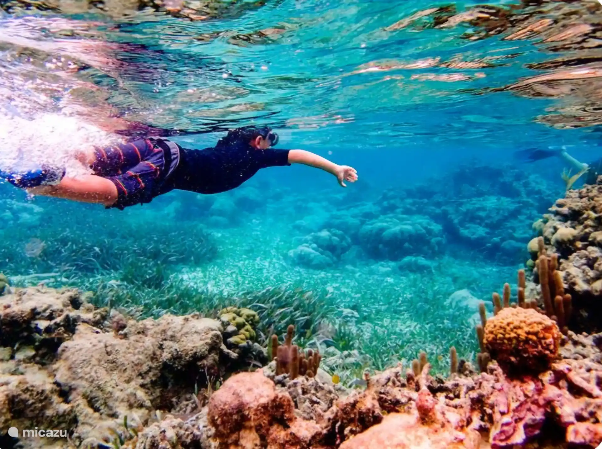 Oportunidades de snorkel para jóvenes y mayores en la zona.