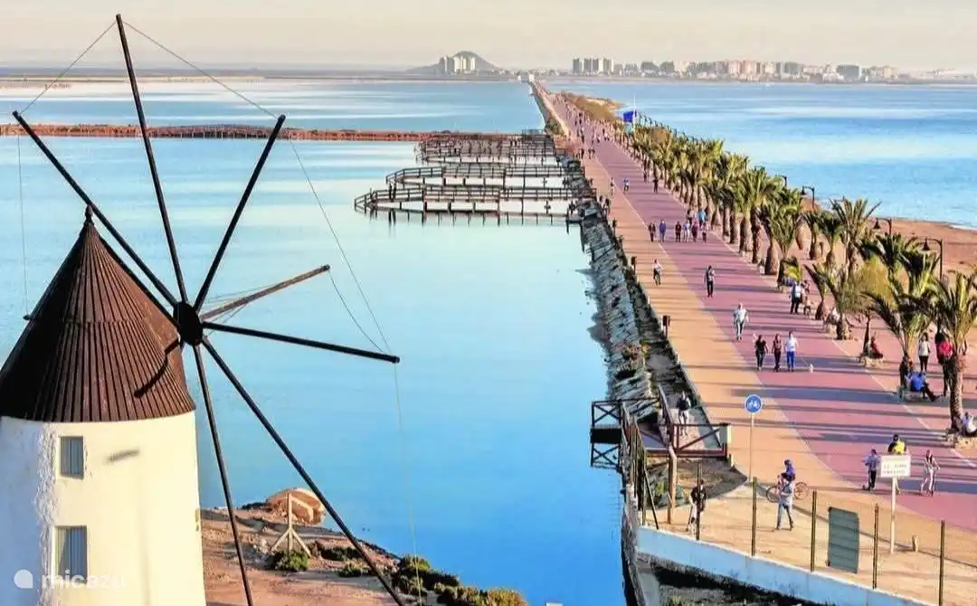 Las lagunas saladas de Lo Pagán; Baños de barro terapéuticos.