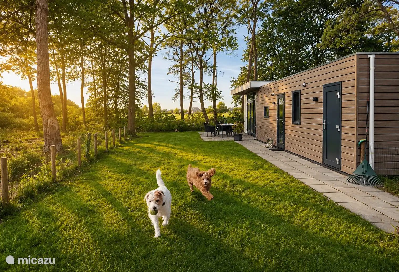 chalet huren in Giethmen, Overijssel, Nederland - Casa Kwispel: genieten met uw hond