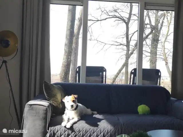 Casa Kwispel : profitez avec votre chien | Pays-Bas, Overijssel, Haarle - chalet Animaux acceptés