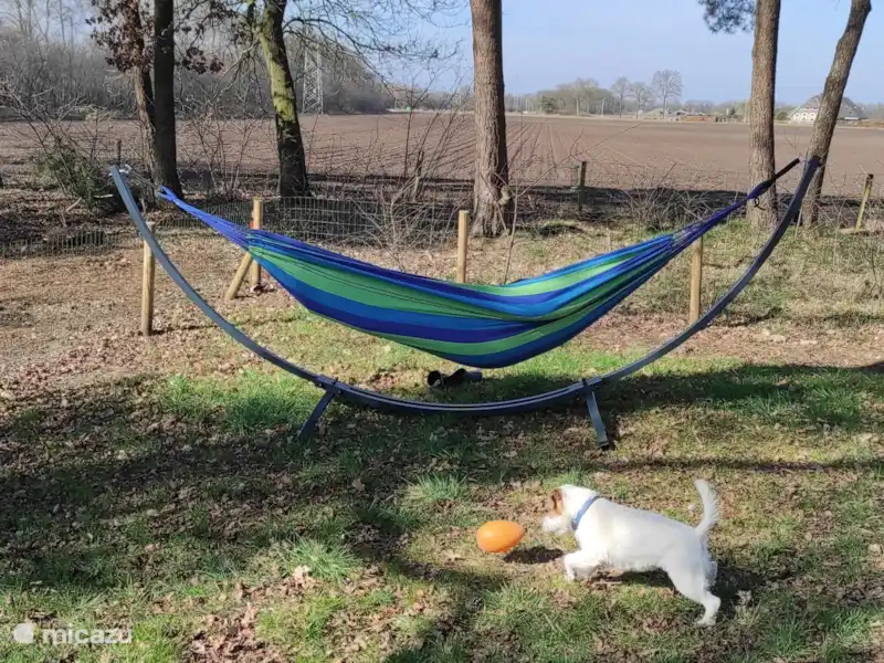 Casa Kwispel : profitez avec votre chien | Pays-Bas, Overijssel, Haarle - Chalet Casa Kwispel : profitez avec votre chien | Pays-Bas, Overijssel, Haarle - Chalet