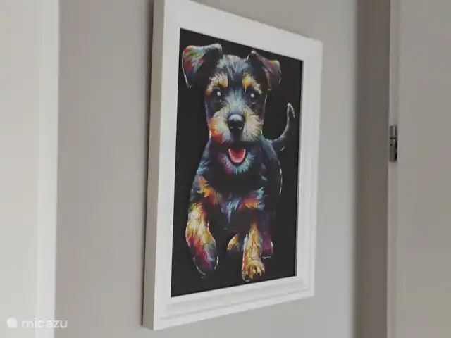 Casa Kwispel : profitez avec votre chien | Pays-Bas, Overijssel, Haarle - chalet Votre chien est le bienvenu