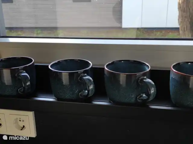 Casa Kwispel : profitez avec votre chien | Pays-Bas, Overijssel, Haarle - chalet Tasses confortables