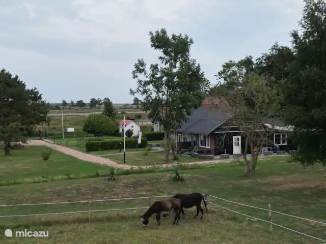 Location de Vacances Pays-Bas, Zélande, Renesse, maison de vacances - Prairiehouse Little Creek