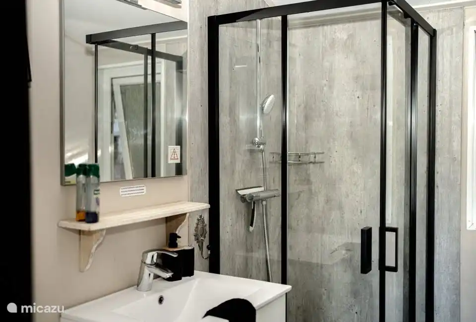 Salle de bain avec douche