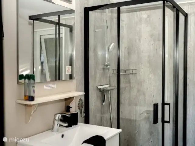 Veluwe Chalet Putten | Pays-Bas, Gueldre, Wells - chalet Salle de bain avec douche
