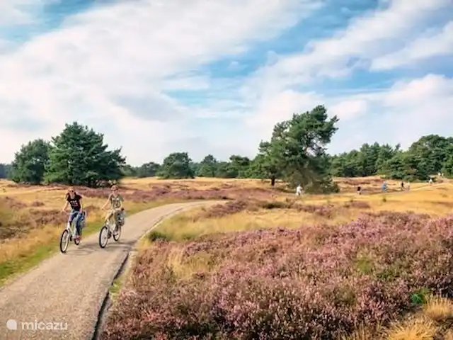 Veluwe Chalet Putten | Pays-Bas, Gueldre, Wells - chalet Emplacement cycliste bien connu