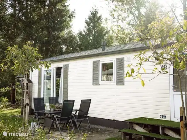 Veluwe Chalet Putten | Pays-Bas, Gueldre, Wells - chalet Vue extérieure chalet