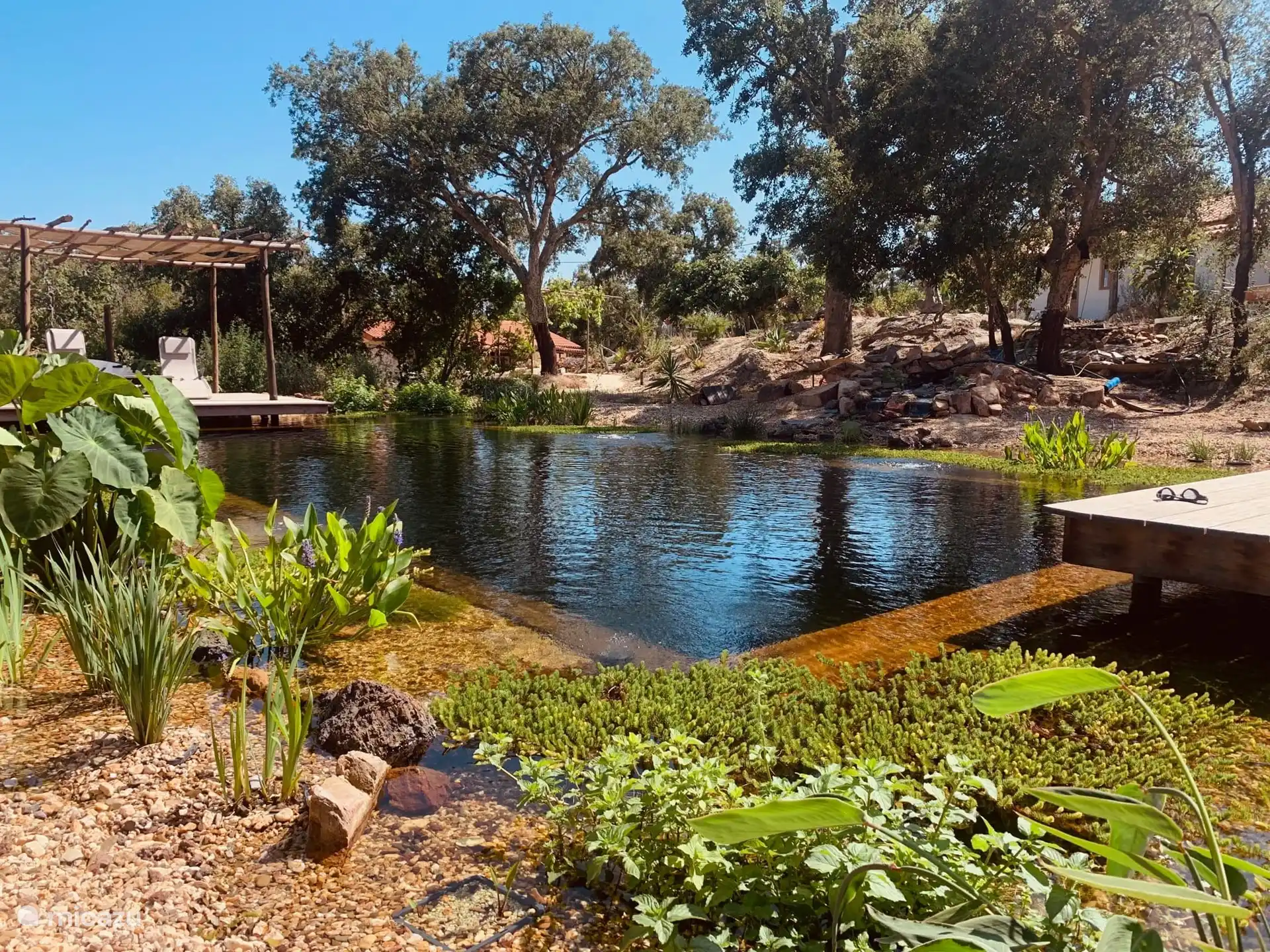 Natürlicher (Schwimm-)Teich