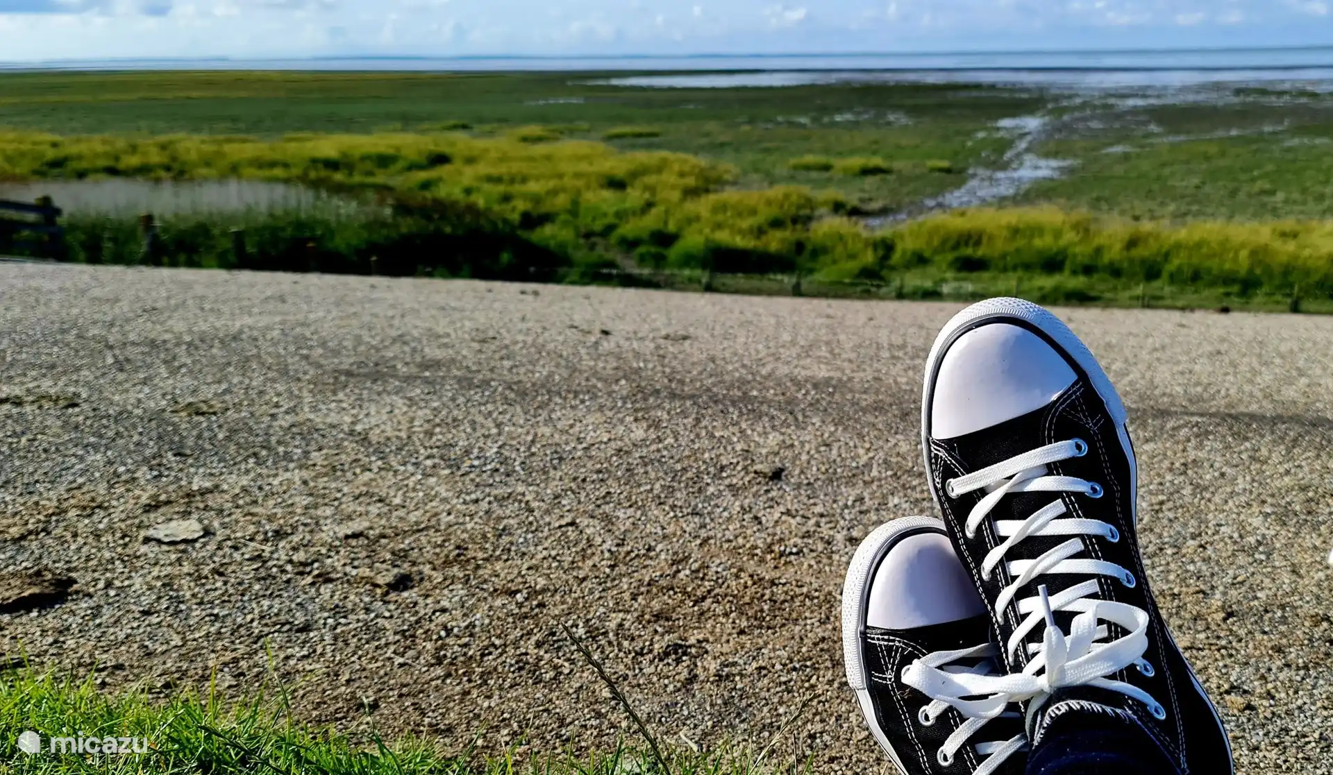 Kommen Sie und spazieren Sie durch das Watt? Mein Hobby und ich beraten gerne. 