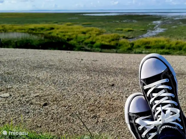 Nuestra propia base en Países Bajos, Frise, Ternaard - casa vacacional ¿Vendrás a caminar por las marismas? Mi hobby y me gusta aconsejar.