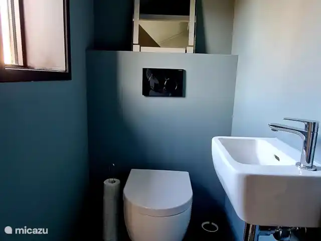 Nuestra propia base en Países Bajos, Frise, Ternaard - casa vacacional inodoro