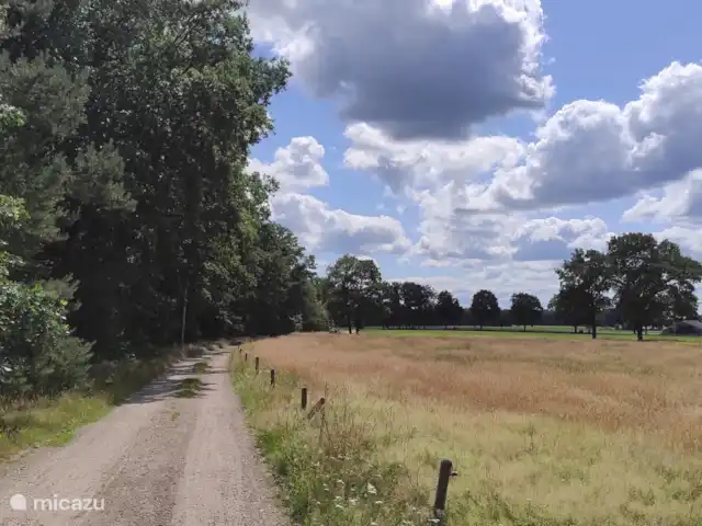 Casa Bosrust : naturellement confortable | Pays-Bas, Overijssel, Haarle - chalet Longues promenades
