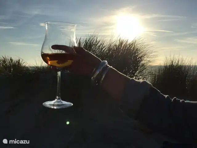 Casa Bosrust : naturellement confortable | Pays-Bas, Overijssel, Haarle - chalet à votre santé!