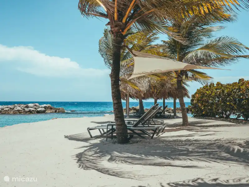 Beach House The Strand | Curaçao, Curaçao-Centre, Pietermaai - Appartement Beach House The Strand | Curaçao, Curaçao-Centre, Pietermaai - Appartement